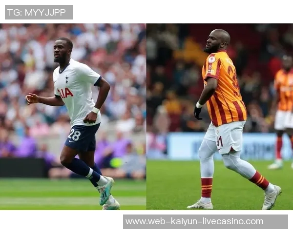 赞比亚与喀麦隆激战正酣两国足球实力对决引发球迷热议